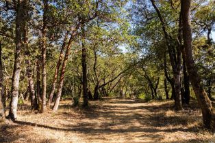 Residential Acreage,  Grove street, Sonoma, CA 95476 - 27