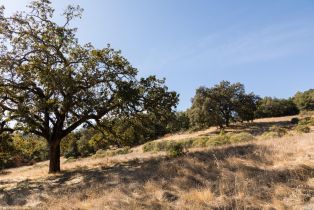 Residential Acreage,  Grove street, Sonoma, CA 95476 - 21