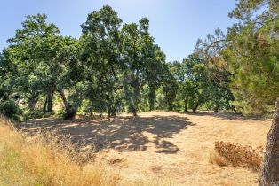 Residential Lot,  Capell Valley Cross road, Napa, CA 94558 - 6