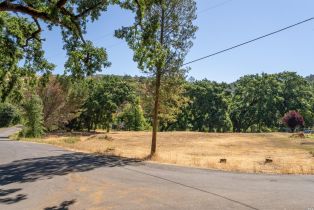 Residential Lot,  Capell Valley Cross road, Napa, CA 94558 - 8