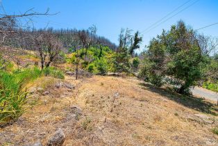 Residential Acreage,  St Helena road, Santa Rosa, CA 95404 - 11