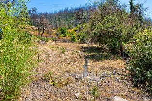 Residential Acreage,  St Helena road, Santa Rosa, CA 95404 - 12