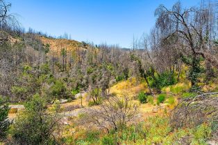 Residential Acreage,  St Helena road, Santa Rosa, CA 95404 - 15