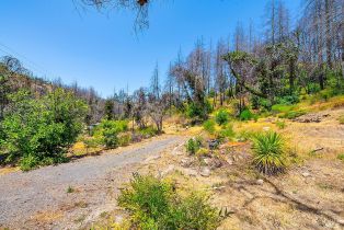 Residential Acreage,  St Helena road, Santa Rosa, CA 95404 - 5