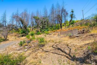 Residential Acreage,  St Helena road, Santa Rosa, CA 95404 - 9