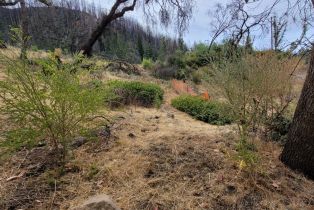 Residential Acreage,  St Helena road, Santa Rosa, CA 95404 - 16