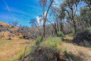 Agriculture,  State Highway 128 highway, Napa, CA 94558 - 36