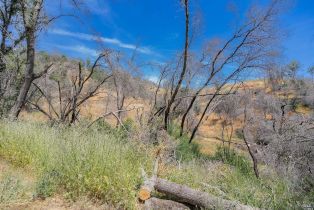 Agriculture,  State Highway 128 highway, Napa, CA 94558 - 33