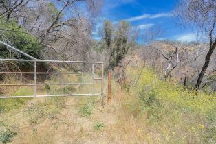 Agriculture,  State Highway 128 highway, Napa, CA 94558 - 4