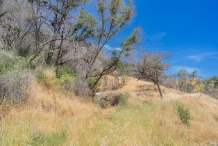 Agriculture,  State Highway 128 highway, Napa, CA 94558 - 38