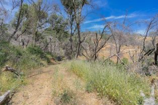 Agriculture,  State Highway 128 highway, Napa, CA 94558 - 5