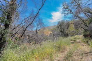 Agriculture,  State Highway 128 highway, Napa, CA 94558 - 22