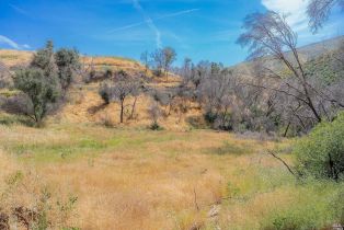 Agriculture,  State Highway 128 highway, Napa, CA 94558 - 39