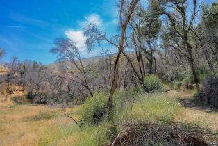 Agriculture,  State Highway 128 highway, Napa, CA 94558 - 37