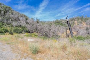 Agriculture,  State Highway 128 highway, Napa, CA 94558 - 12