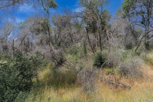 Agriculture,  State Highway 128 highway, Napa, CA 94558 - 25