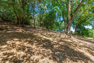 Residential Lot,  Country Club lane, Napa, CA 94558 - 8