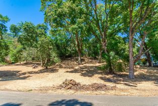 Residential Lot,  Country Club lane, Napa, CA 94558 - 6