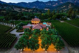 Single Family Residence,  Tubbs lane, Calistoga, CA 94515 - 84