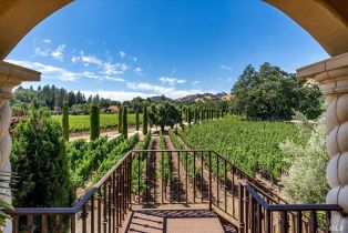 Single Family Residence,  Tubbs lane, Calistoga, CA 94515 - 38