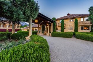 Single Family Residence,  Tubbs lane, Calistoga, CA 94515 - 9