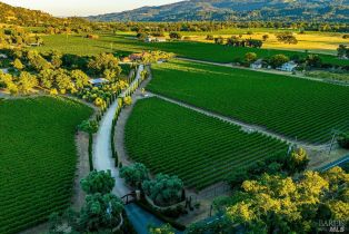 Single Family Residence,  Tubbs lane, Calistoga, CA 94515 - 2