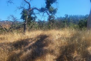 Land, Wallace Creek Rd, Healdsburg, CA  Healdsburg, CA 95448