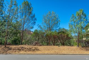 Residential Lot,  Bahia Vista court, Napa, CA 94558 - 3