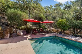 Single Family Residence,  Silverado trail, Napa, CA 94558 - 39