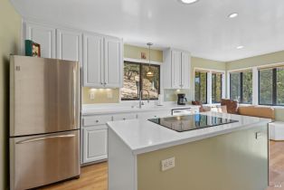 Single Family Residence,  Silverado trail, Napa, CA 94558 - 15