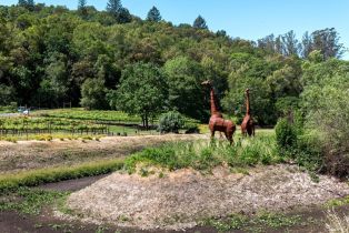 Agriculture,  12 highway, Kenwood, CA 95452 - 6