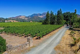 Single Family Residence,  State Highway 128 none, Calistoga, CA 94515 - 27