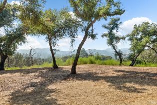 Residential Acreage,  Mark West Springs road, Santa Rosa, CA 95404 - 34