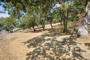 Residential Acreage,  Mark West Springs road, Santa Rosa, CA 95404 - 17