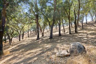 Residential Acreage,  Mark West Springs road, Santa Rosa, CA 95404 - 21