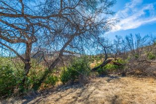 Residential Lot,  Live Oak lane, Napa, CA 94558 - 36