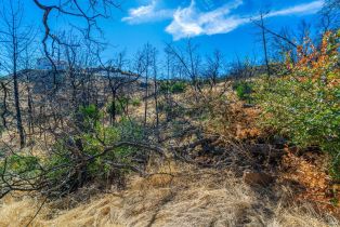 Residential Lot,  Live Oak lane, Napa, CA 94558 - 38