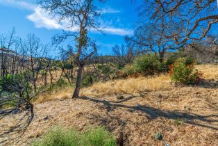 Residential Lot,  Live Oak lane, Napa, CA 94558 - 41