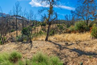 Residential Lot,  Live Oak lane, Napa, CA 94558 - 42