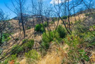 Residential Lot,  Live Oak lane, Napa, CA 94558 - 40