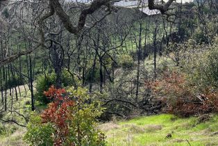 Residential Lot,  Live Oak lane, Napa, CA 94558 - 2