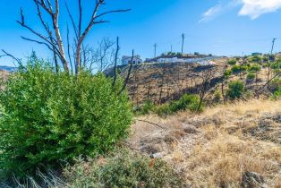 Residential Lot,  Live Oak lane, Napa, CA 94558 - 51