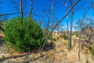 Residential Lot,  Live Oak lane, Napa, CA 94558 - 46