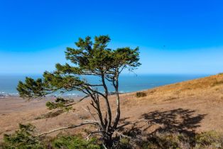 Single Family Residence,  Highway 1 none, Bodega Bay, CA 94923 - 38