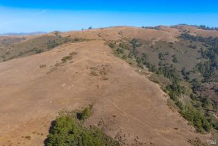 Single Family Residence,  Highway 1 none, Bodega Bay, CA 94923 - 30