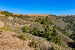 Single Family Residence,  Highway 1 none, Bodega Bay, CA 94923 - 36