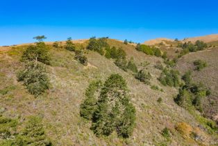 Single Family Residence,  Highway 1 none, Bodega Bay, CA 94923 - 37