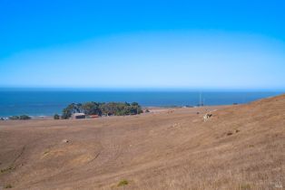 Single Family Residence,  Highway 1 none, Bodega Bay, CA 94923 - 54