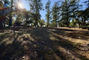 Residential Lot,  Brush Creek road, Santa Rosa, CA 95404 - 36