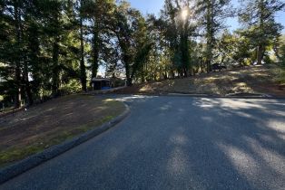 Residential Lot,  Brush Creek road, Santa Rosa, CA 95404 - 7